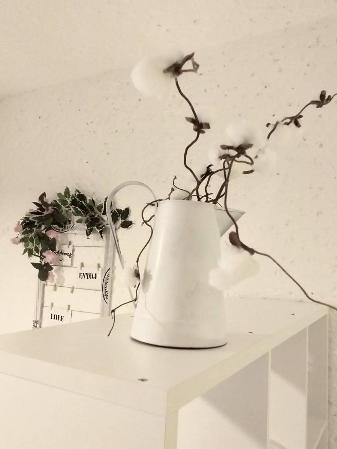 Apartmán Ninas Dream Vrsar Exteriér fotografie